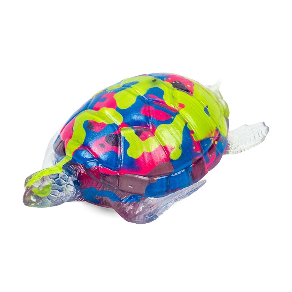 Sensory Schildpad
