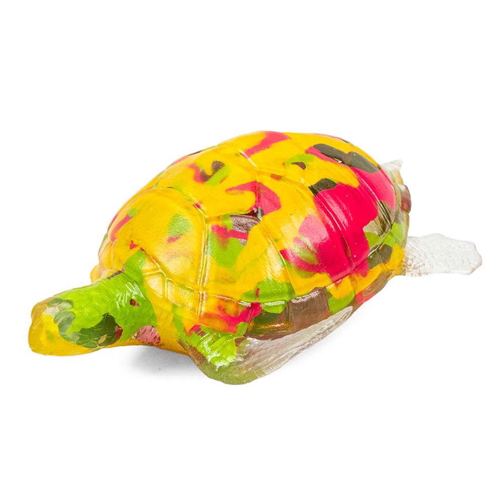 Sensory Schildpad