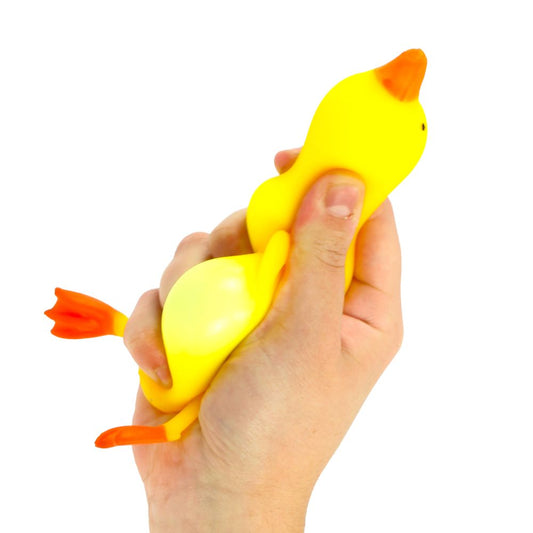 Stretchy Floppy Duck