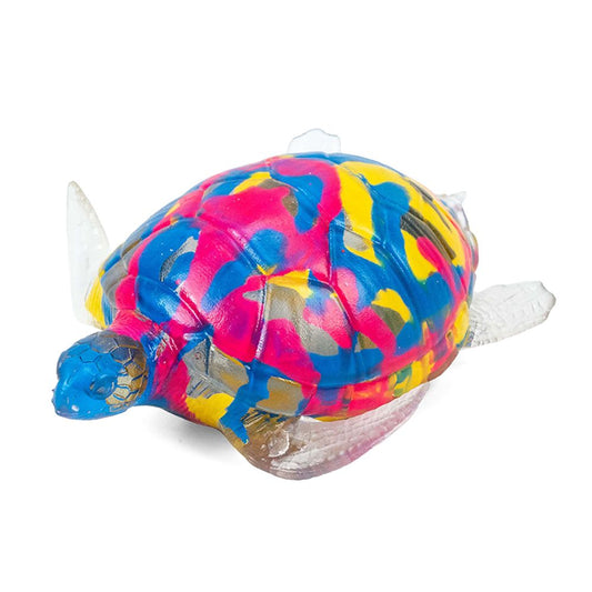 Sensory Schildpad